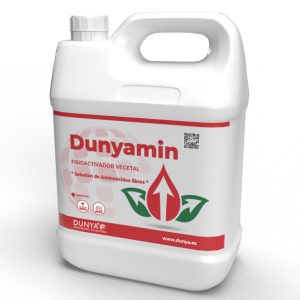 DUNYAMIN 24