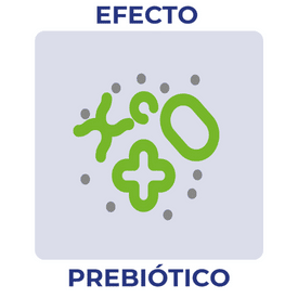 Efecto Prebiotico 1