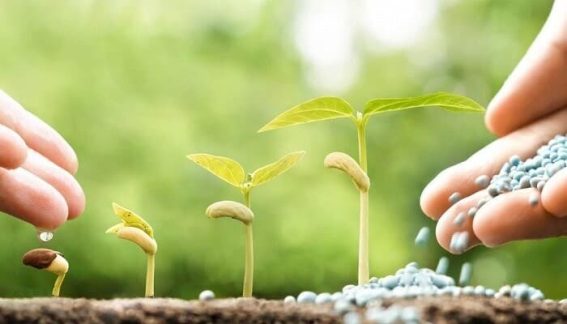 Fertilizantes granulados