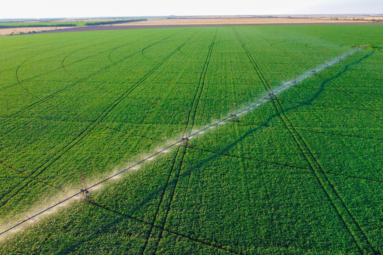 FERTILIZANTES LIQUIDOS