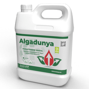 ALGADUNYA